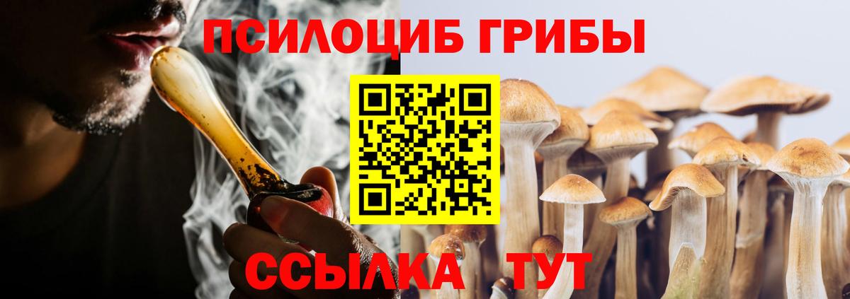 Сланцы  купить  цена  Вход с VPN  Галлюциногенные грибы Psilocybe 